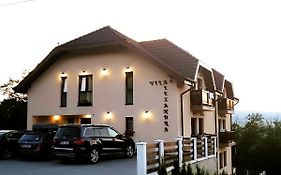 Vila Alexandra Sovata